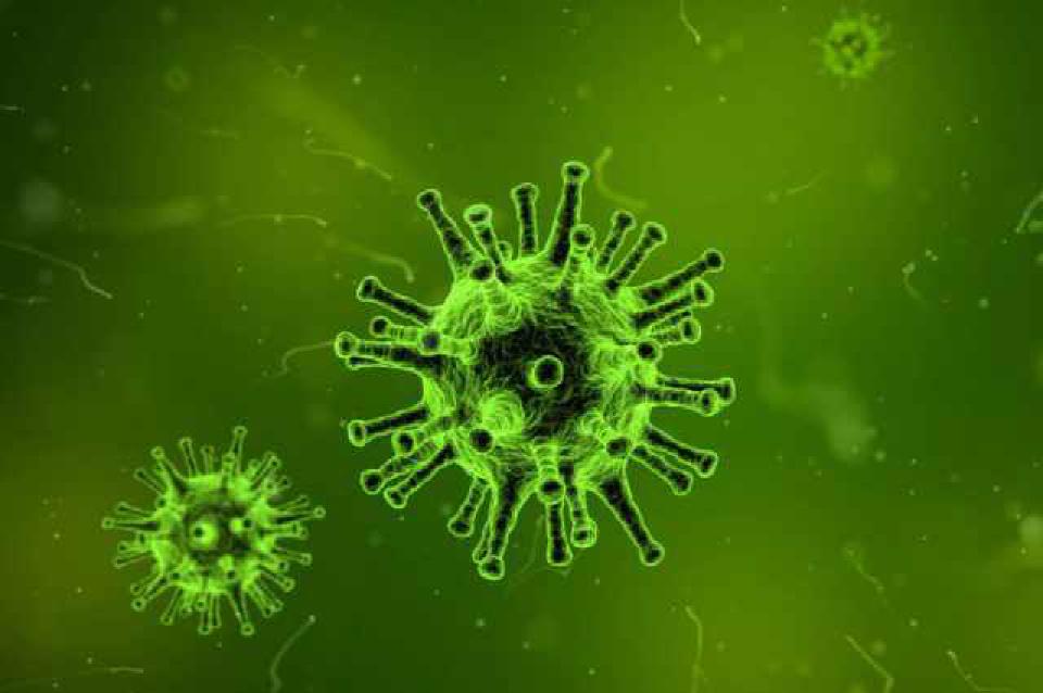 I Tried to Book a Flu Vaccine I Tried to Book a Flu Vaccine
