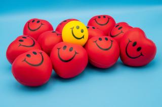 Customer Satisfaction Surveys Customer Satisfaction Surveys